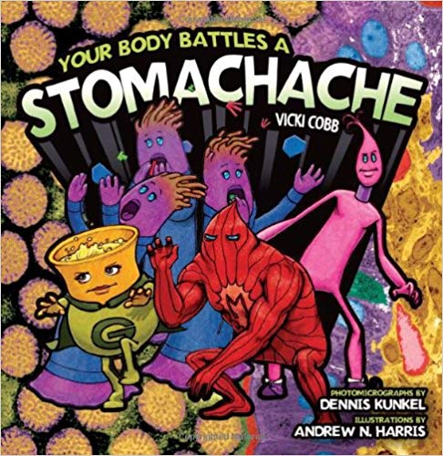 Your body battles a stomache